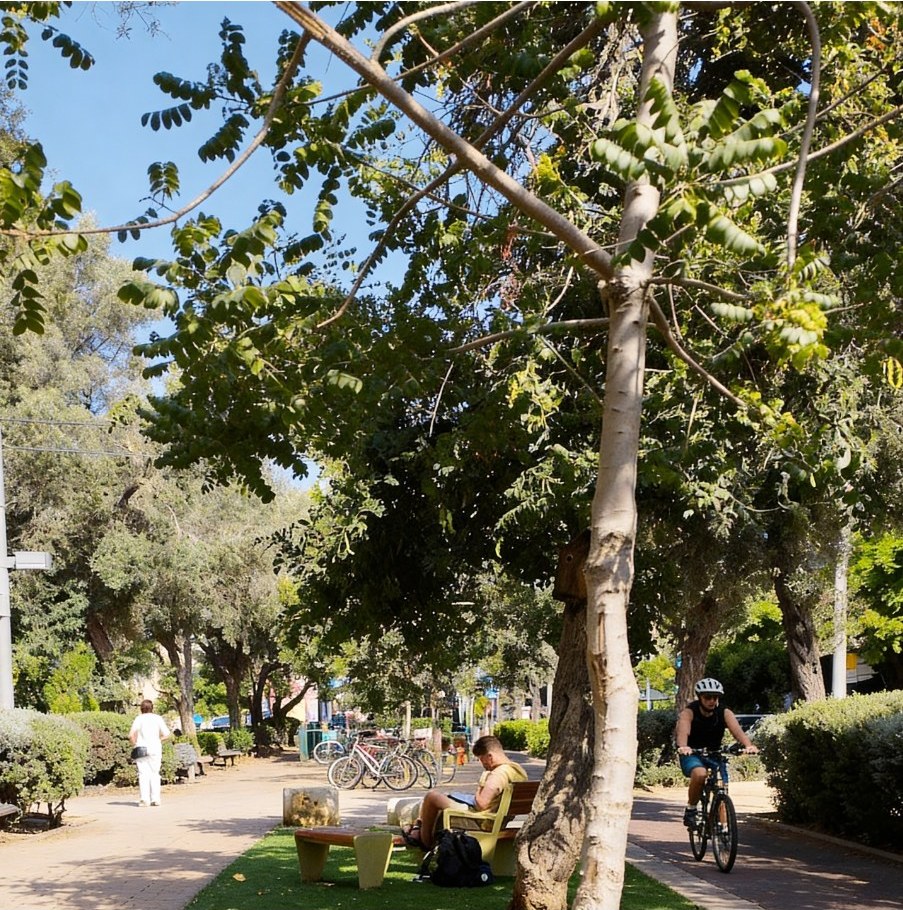 The tree-lined boulevard of the Old North
