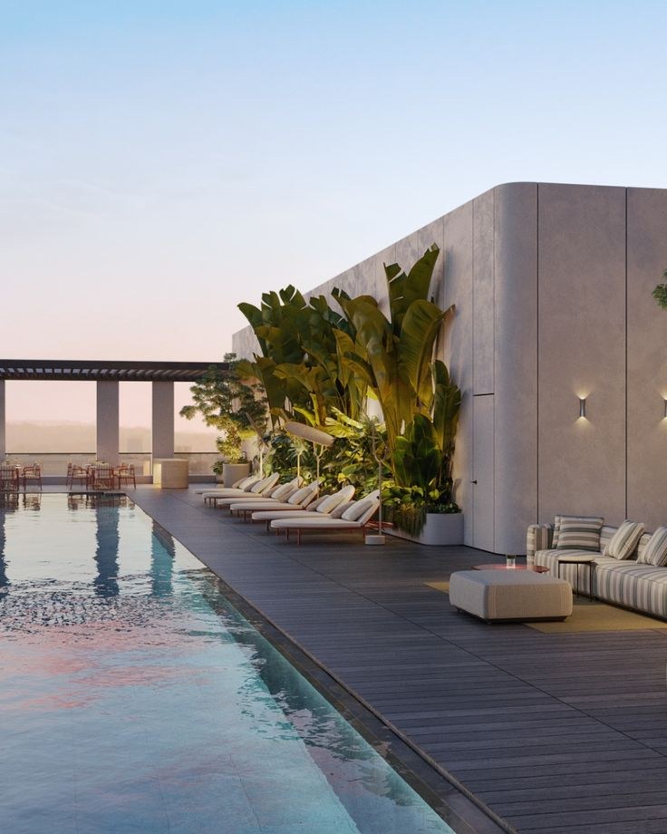 Rooftop pool edge with sun loungers and planting